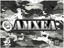 Load image into Gallery viewer, SHADE WALL (AMXEA) - 3 x 3 M
